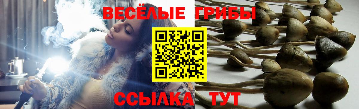 Галлюциногенные грибы прущие грибы Скопин
